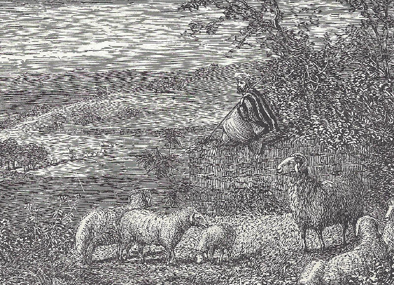 shepherd_tending_his_flocks.png