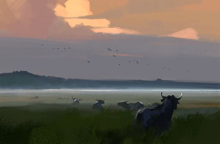 John_park_cattle_in_field_approx-2000s.png